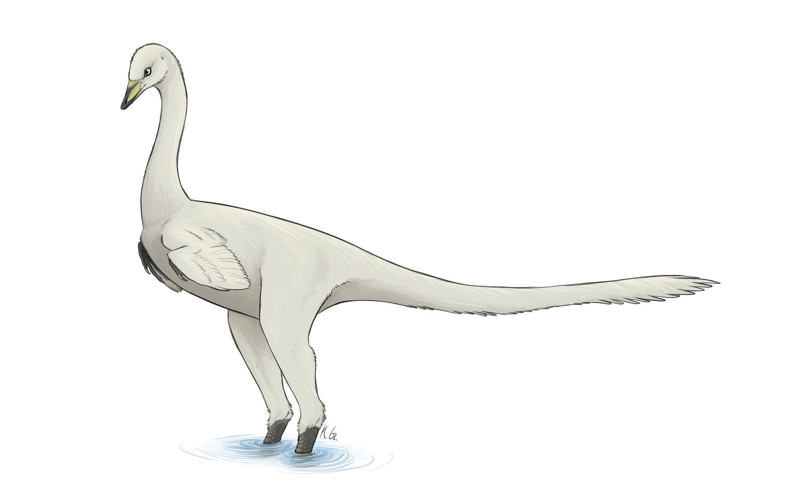 halszkaraptor_escuilliei_by_themeeplord_dbw4mr1-fullview.jpg