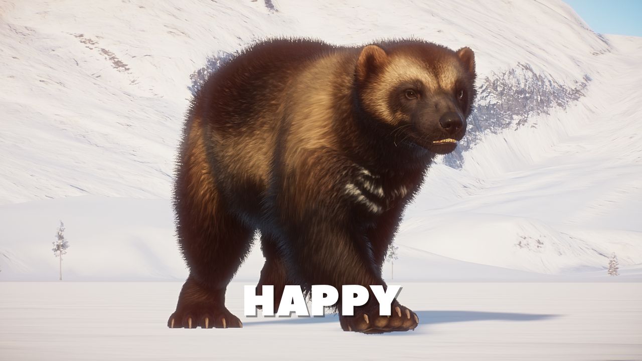 HAPPY.jpg