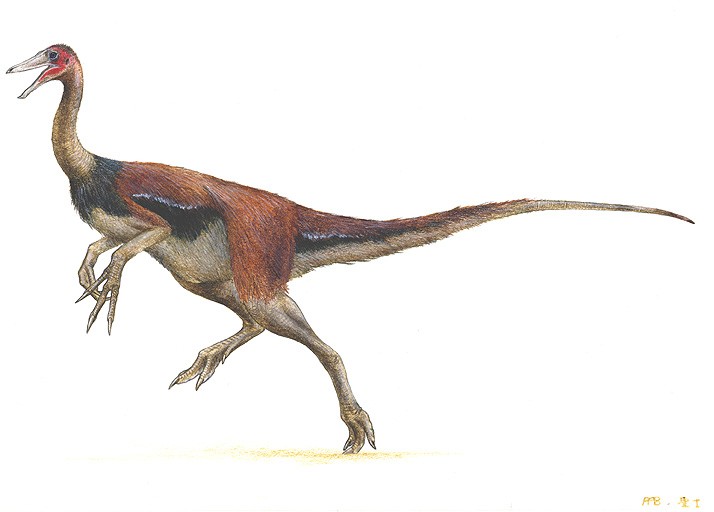 Harpymimus-dino-pantheon_1356.jpg