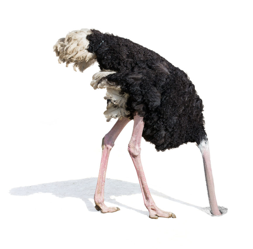 head in sand.jpg