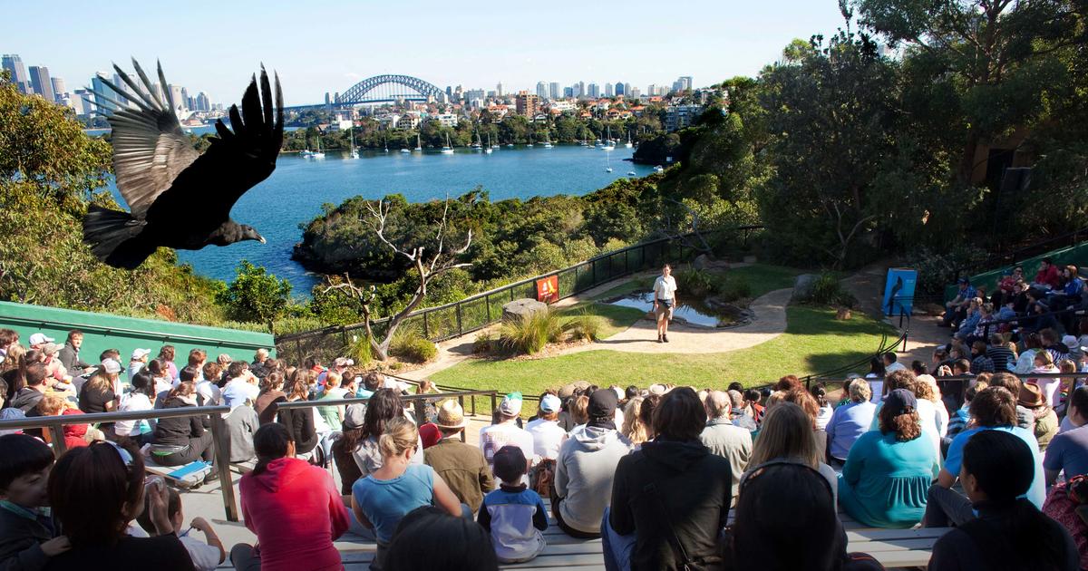 header-tz-shows-keeper-talks-birdshow-2880.jpg
