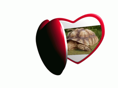 heart-locket.gif
