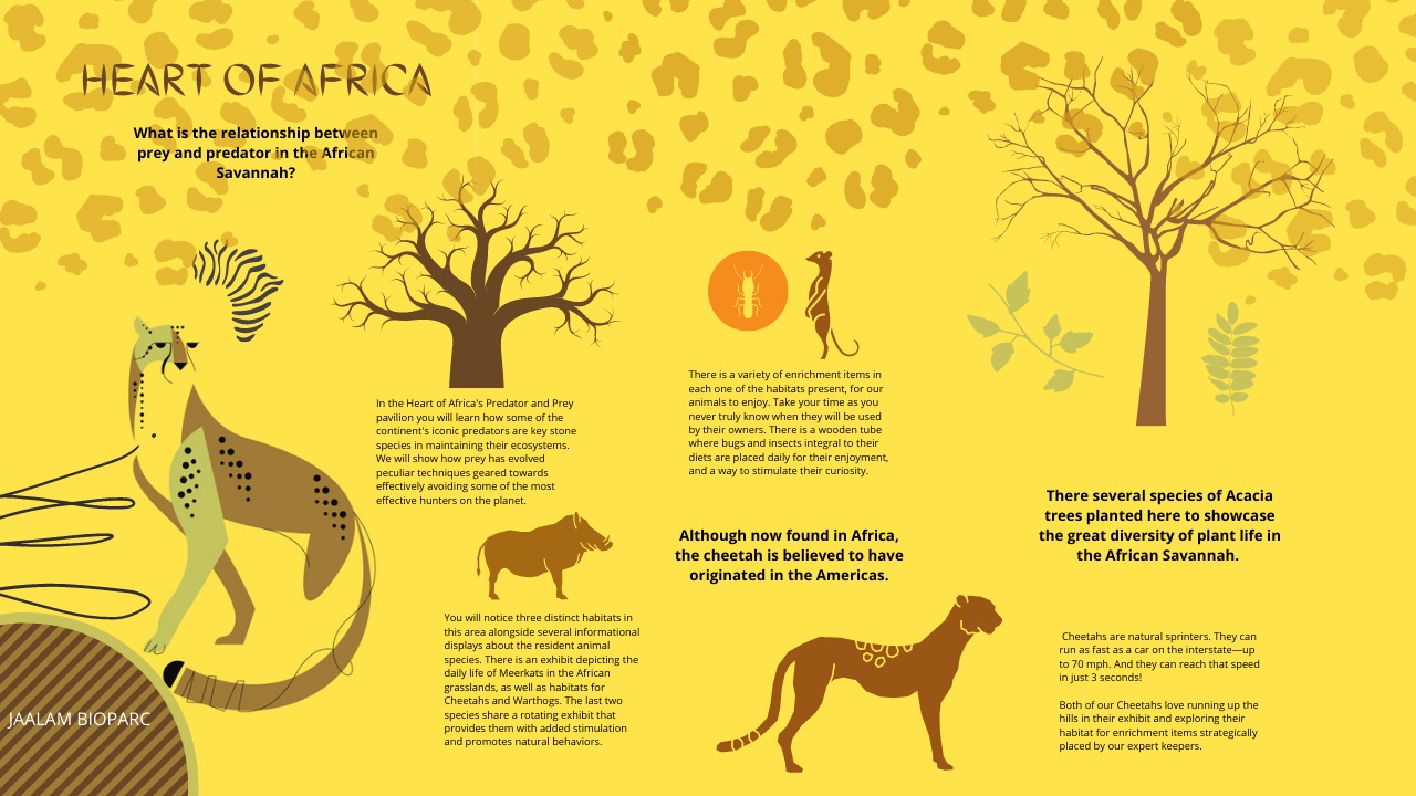 HeartofAfricaPreyandpredator02 (2).jpg