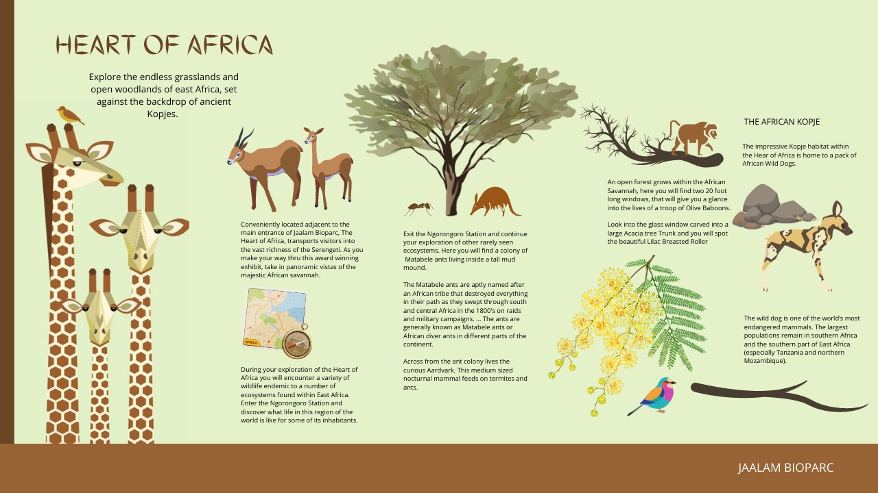 HeartofAfricathematicset01 (2).jpg