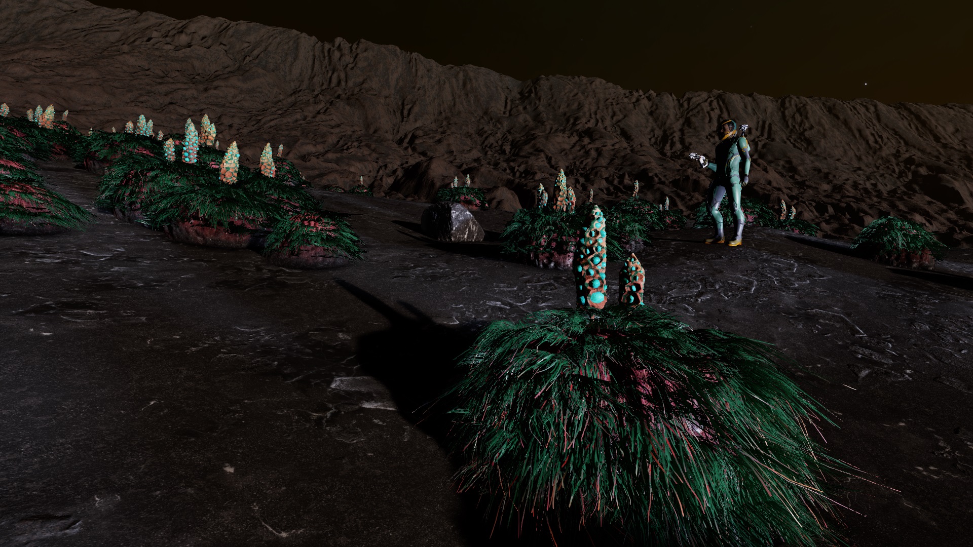 Hegeia OJ-Q c21-0 (20211128-103443).jpg