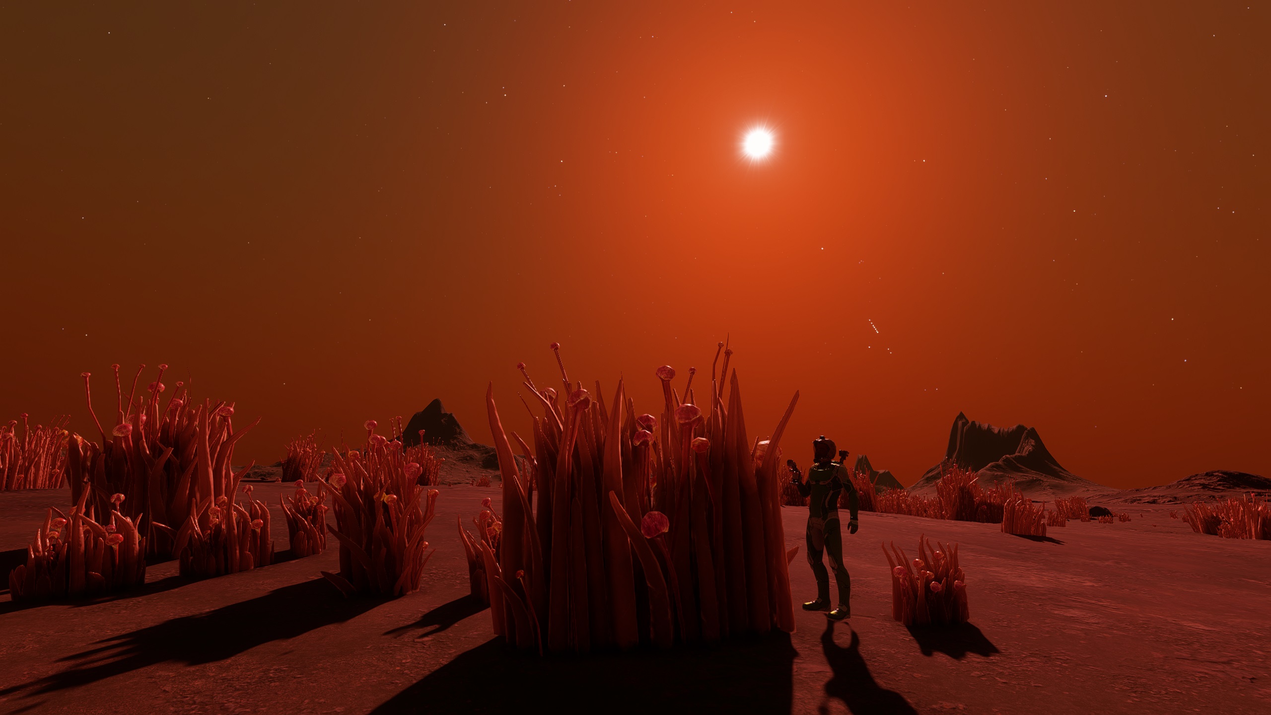 hell fungus.jpg