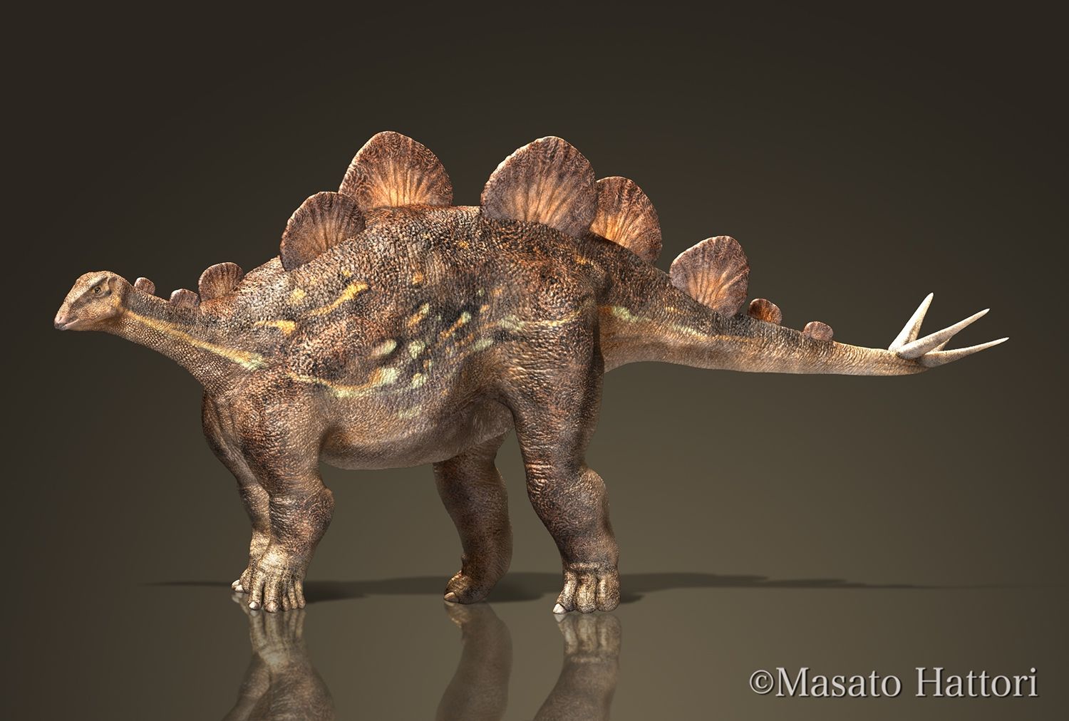 Hesparosaurus (1).jpg