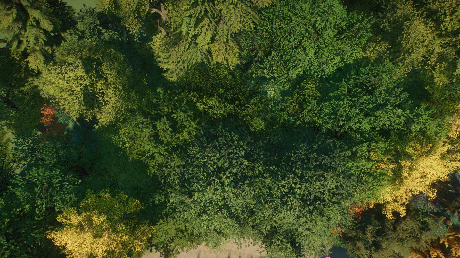 Hidden Garden Forest.jpg
