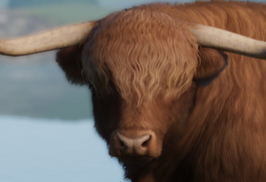 HighlandCattleZoopedia.png
