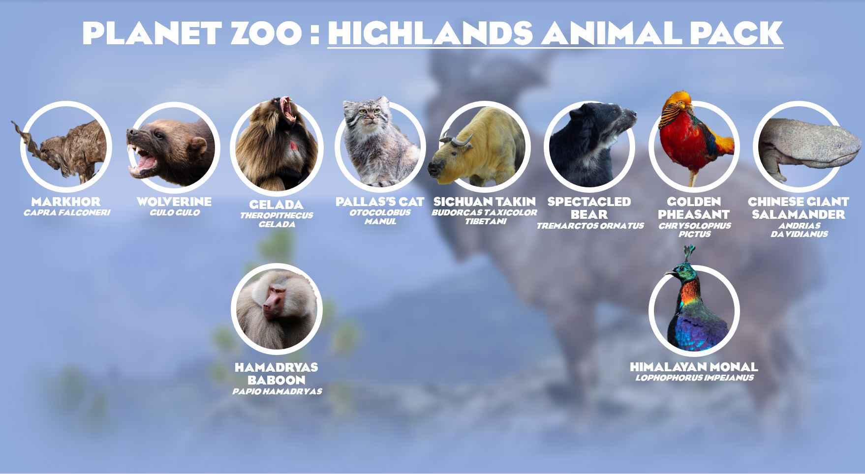 HighlandsAnimalPack.JPG