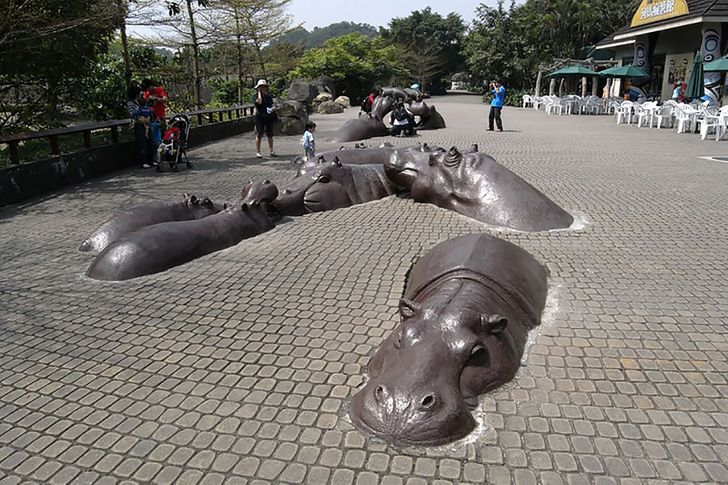 Hipopótamos, zoológico de Taipei.jpg