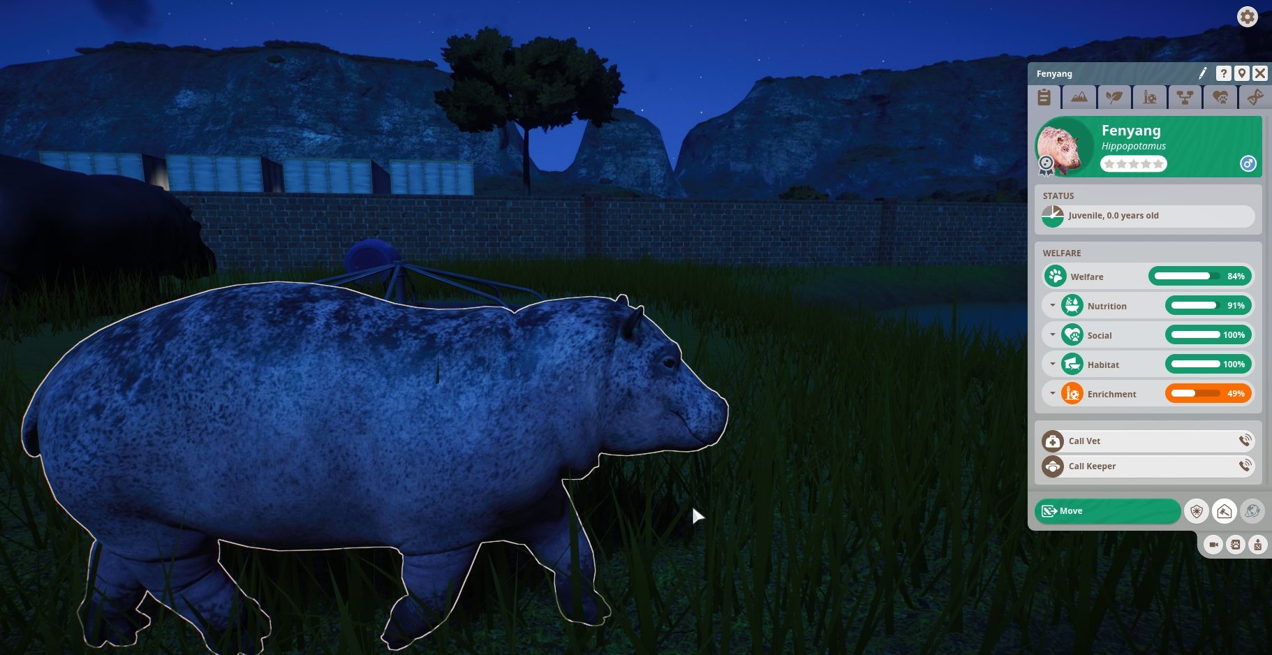 hippo.jpg