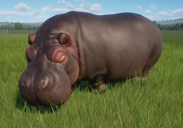 Hippo.PNG