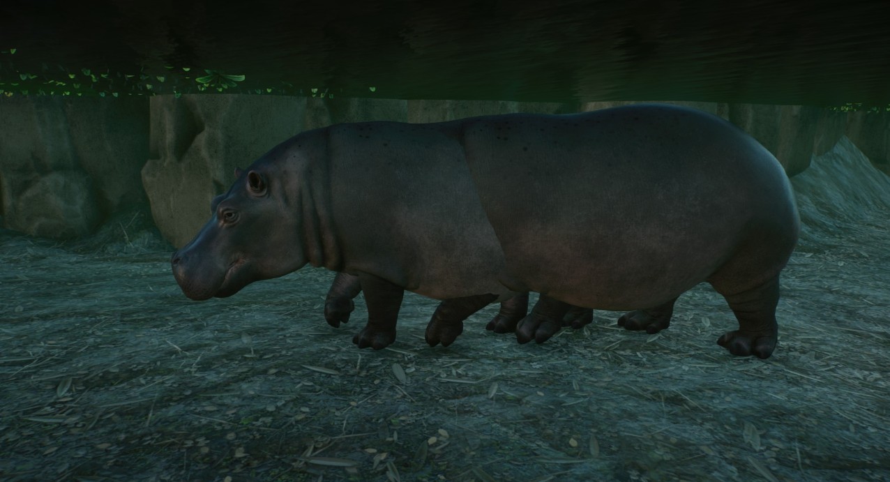hippocentipede.jpg