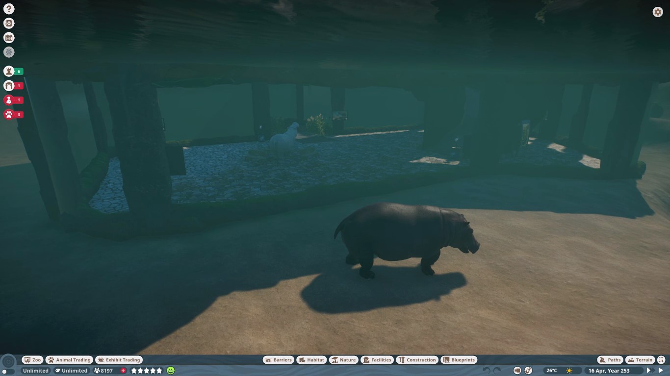 Hippos underwater.jpg