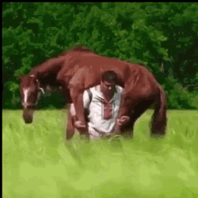 horse-man-gif.385749