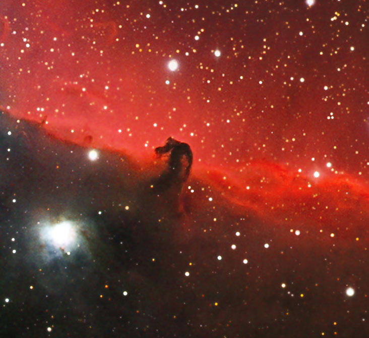 horsehead-real.jpg