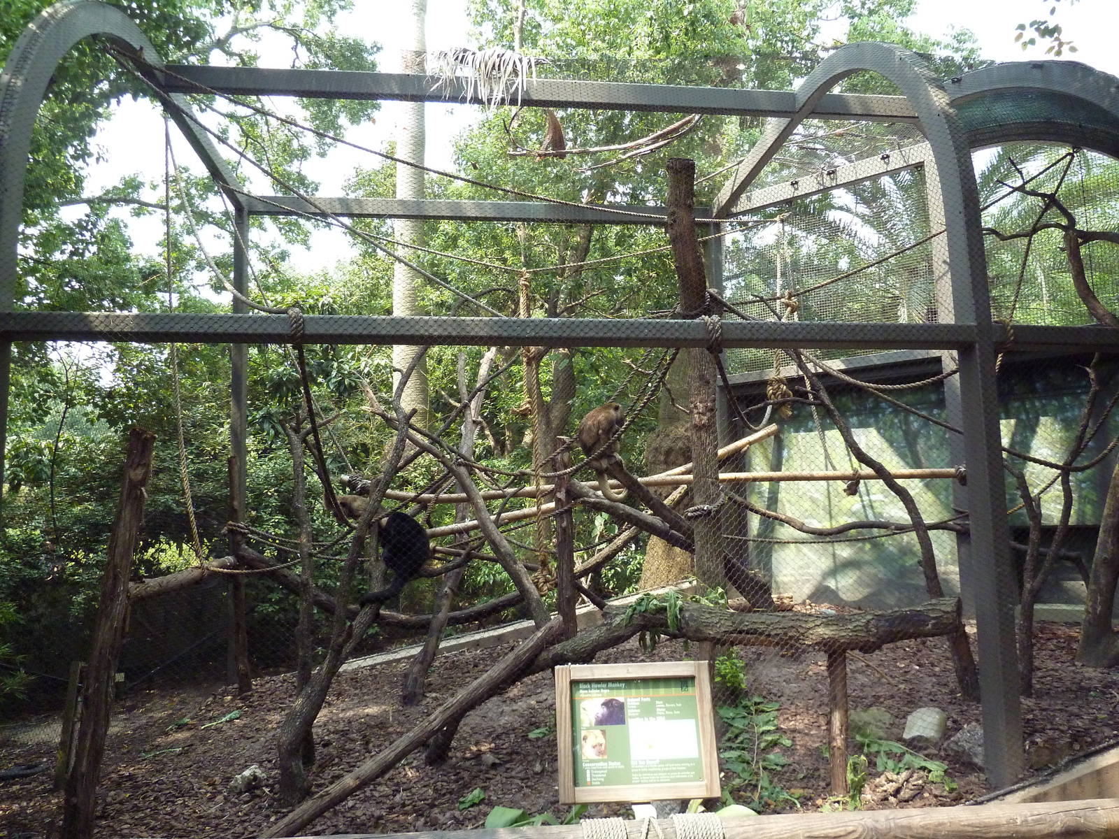 Houston_Zoo_389.jpg