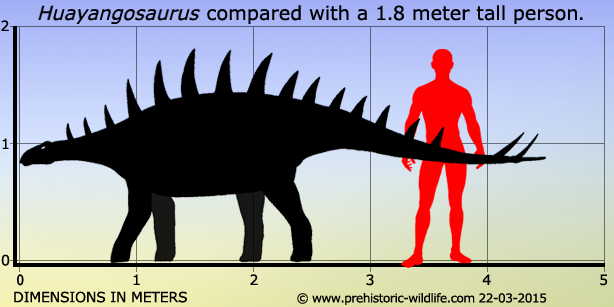 huayangosaurus-size.jpg