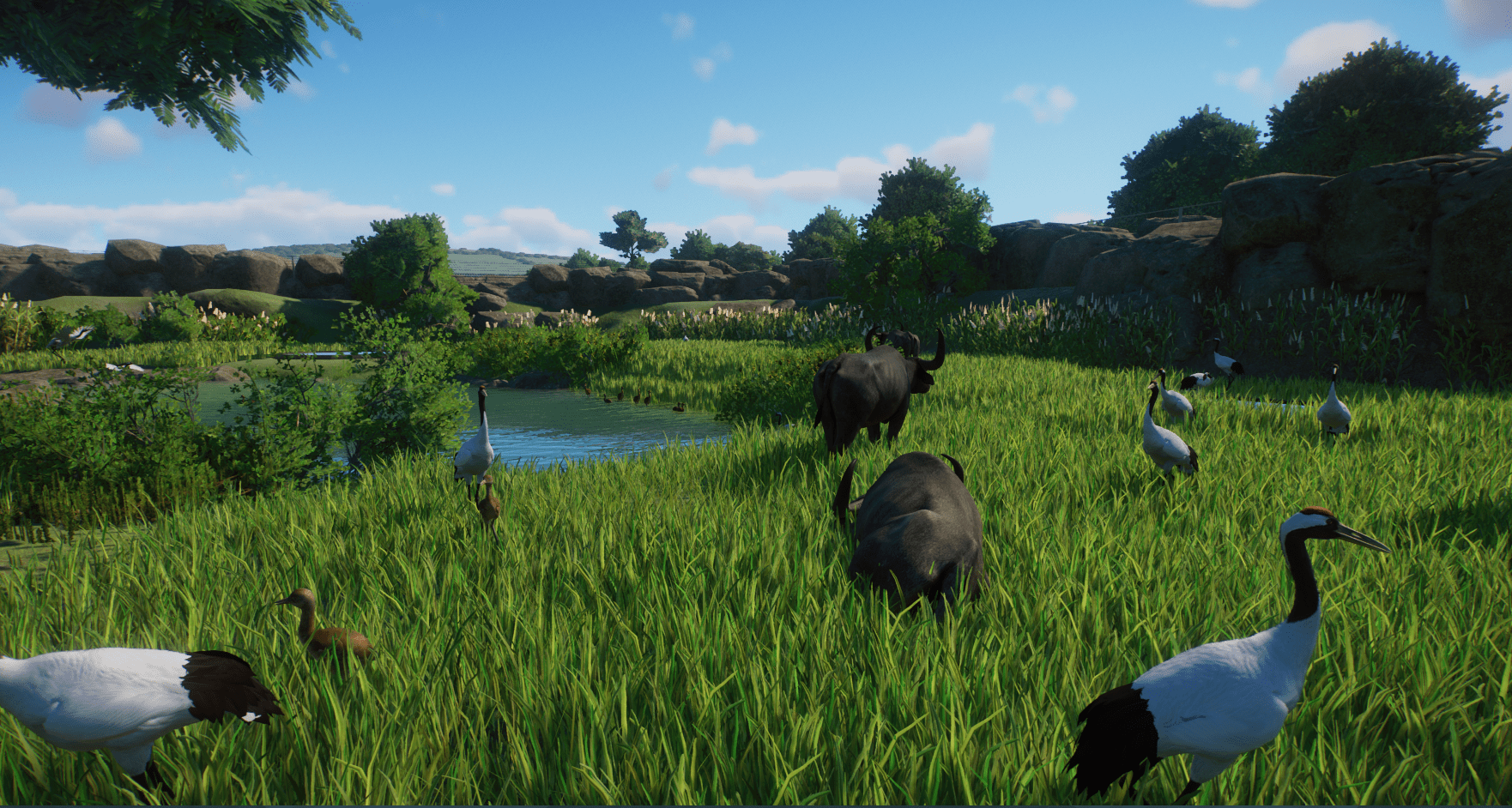 hula_wetlands-min.png