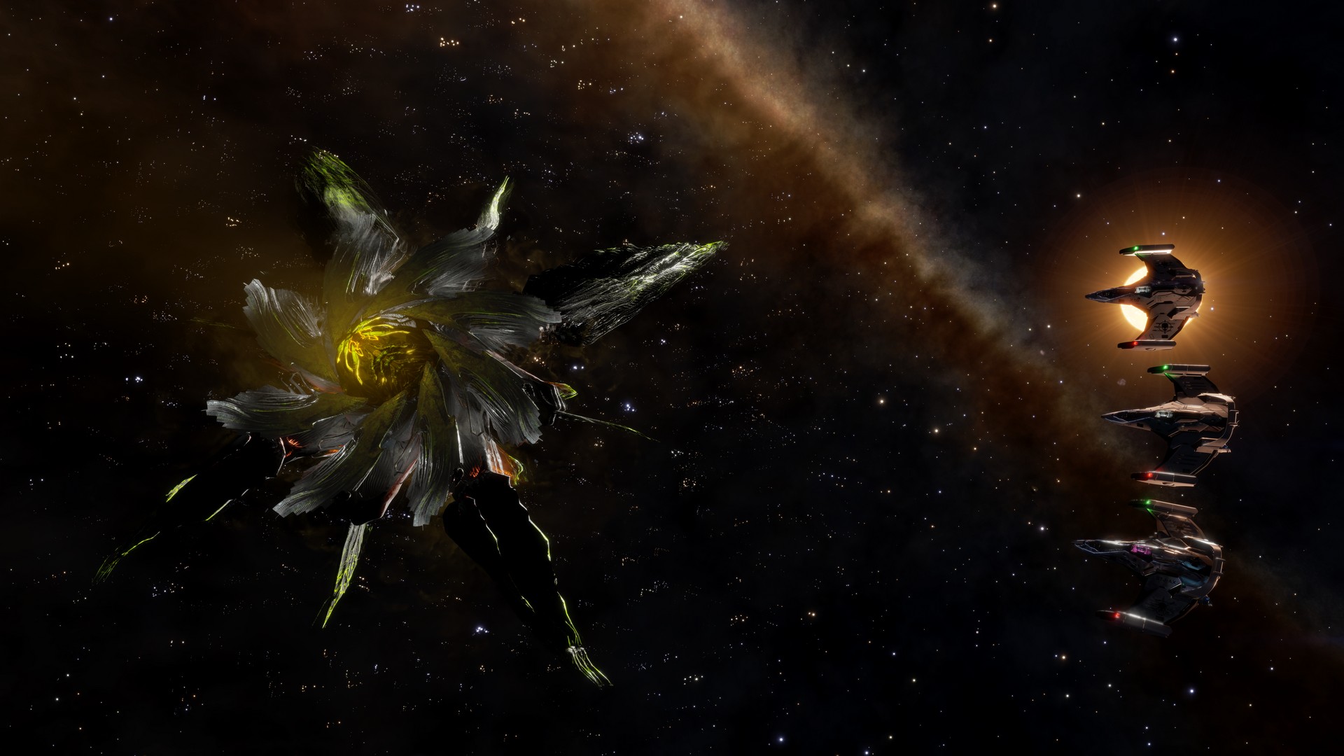 Hydra 12.jpg
