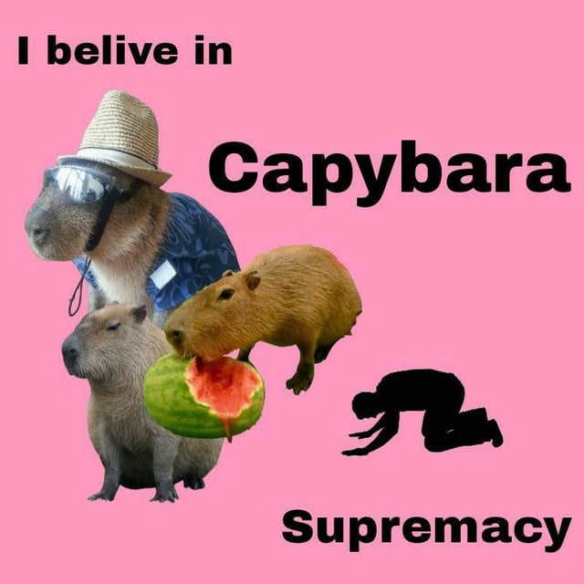 i-believe-in-capybara-supremacy-you-believe-in-capybara-v0-t1lk7y7nu3db1.jpg