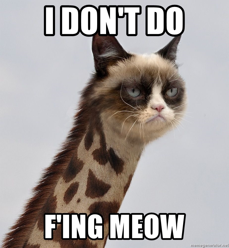 i-dont-do-fing-meow.jpg
