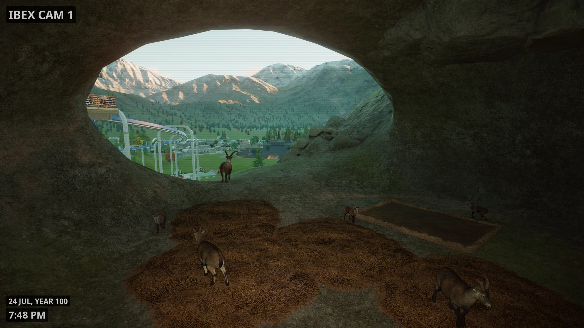 ibex cam.jpg