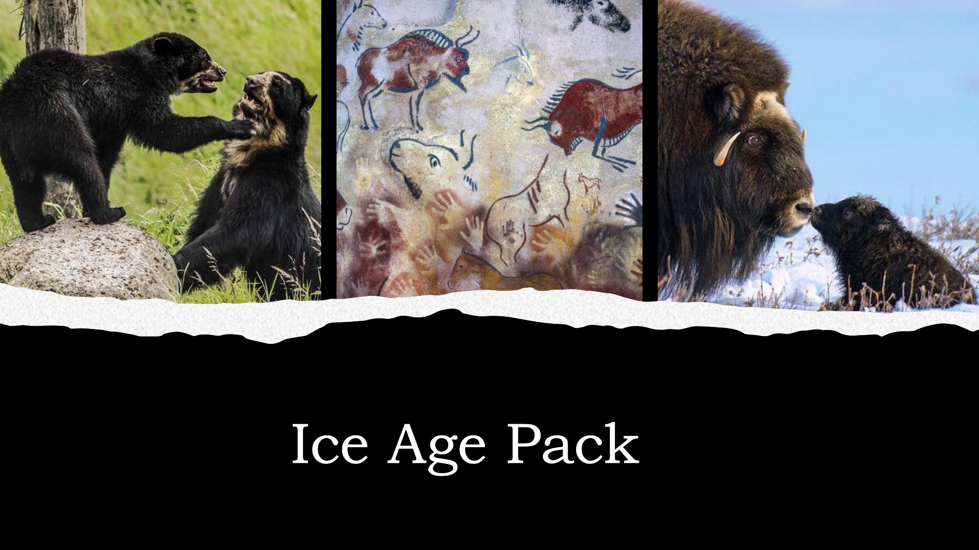ice-age-pack.jpg