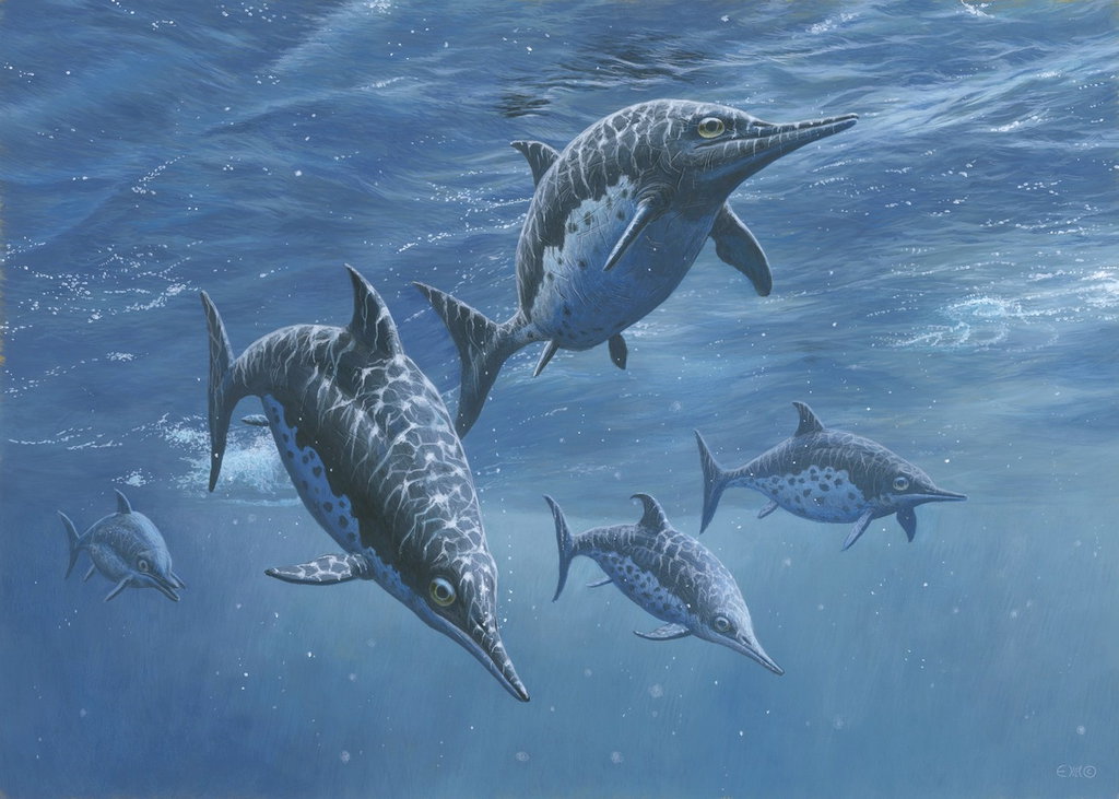 ichthyosaur.jpg