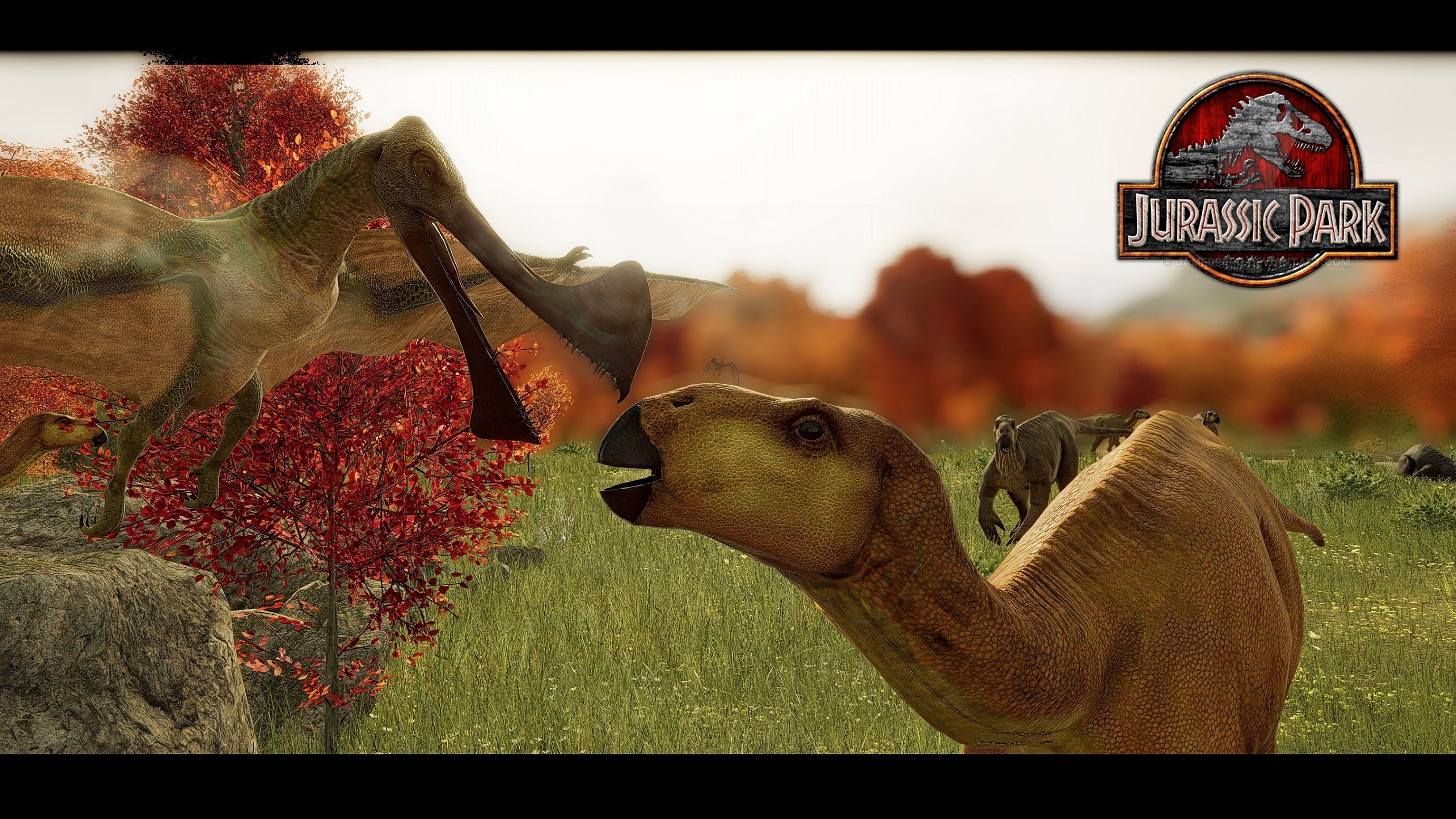 Iguan Glade Pic.jpg