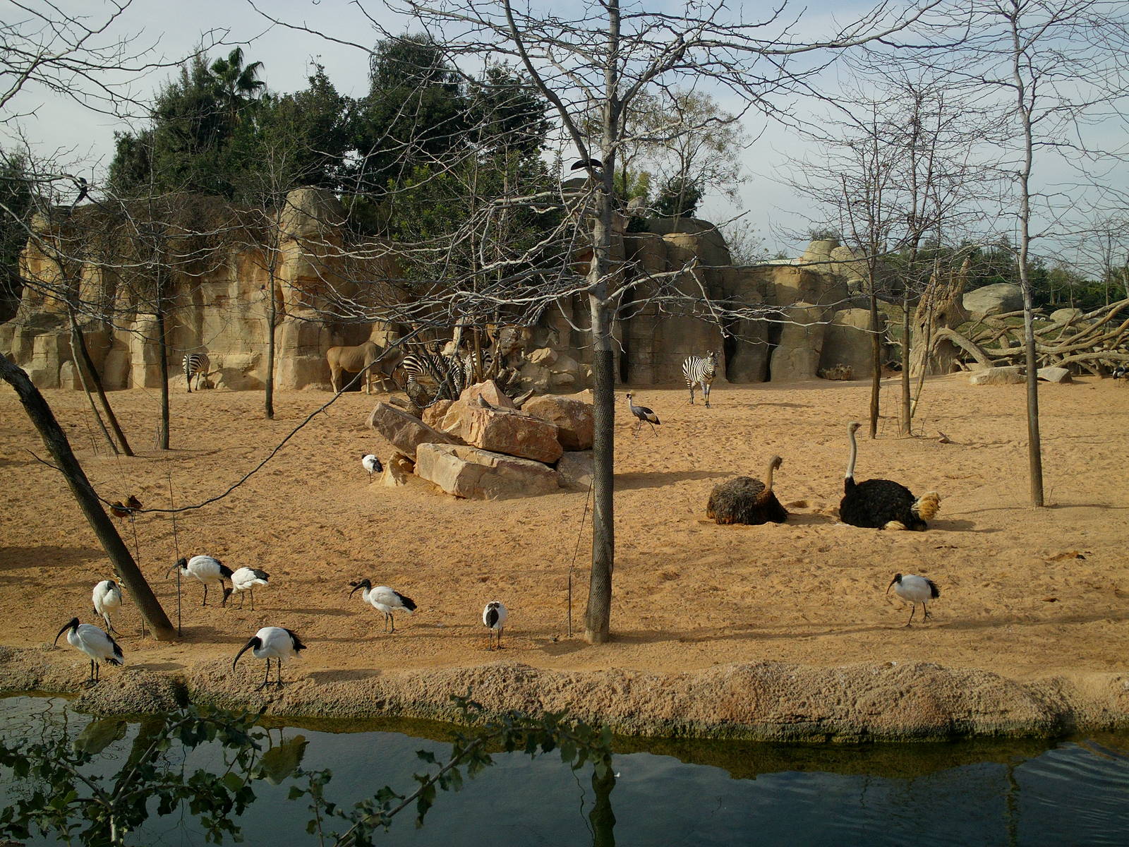 IMAG0273.JPG