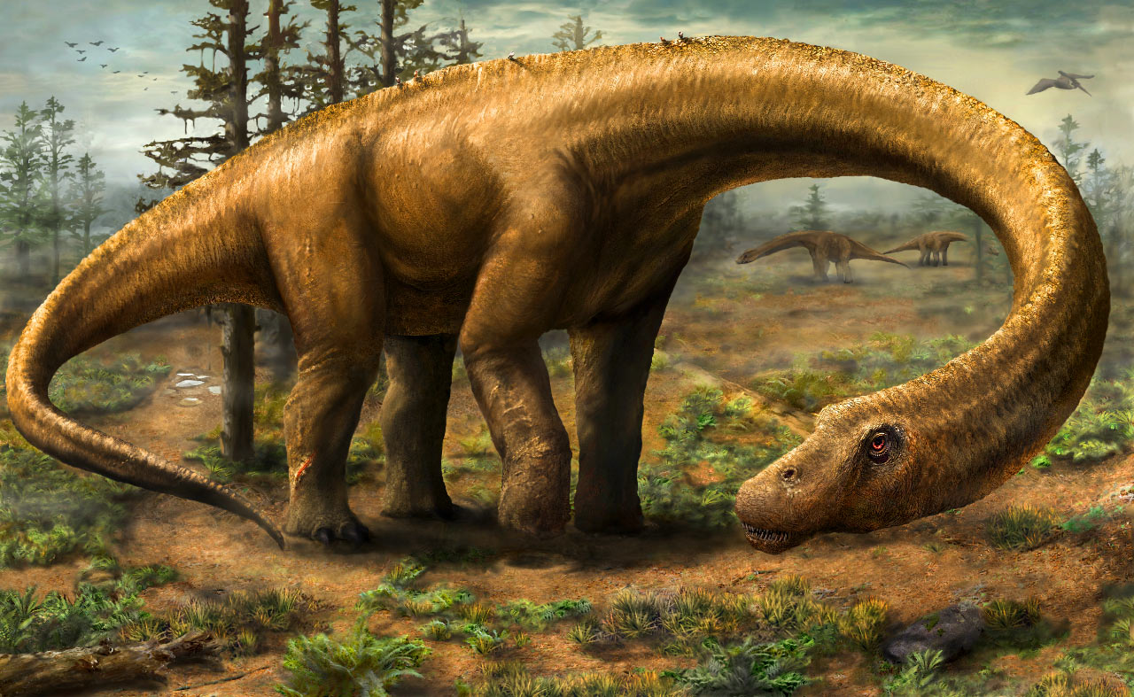 image_2129_1e-Dreadnoughtus-schrani.jpg
