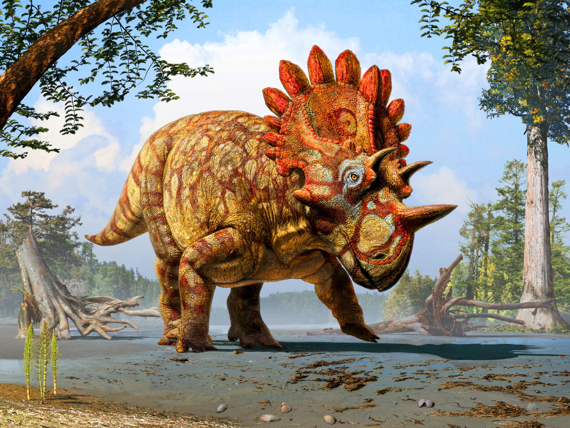 image_2879_1e-Regaliceratops-peterhewsi.jpg