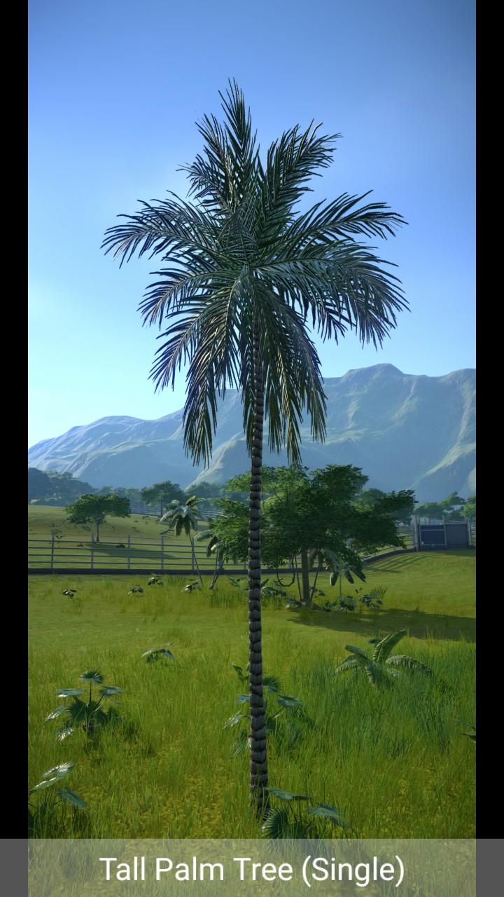 img(12).jpeg