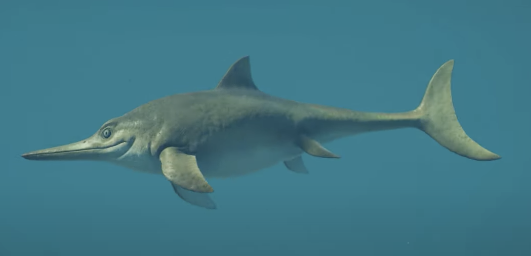 img(2).png