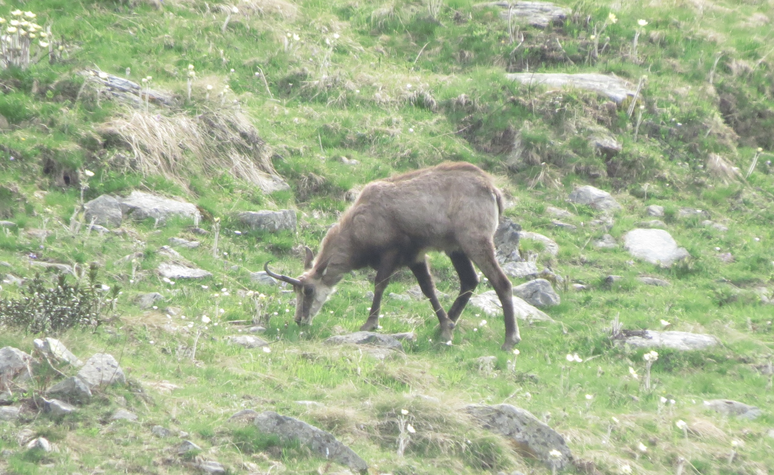 IMG_0034.jpeg