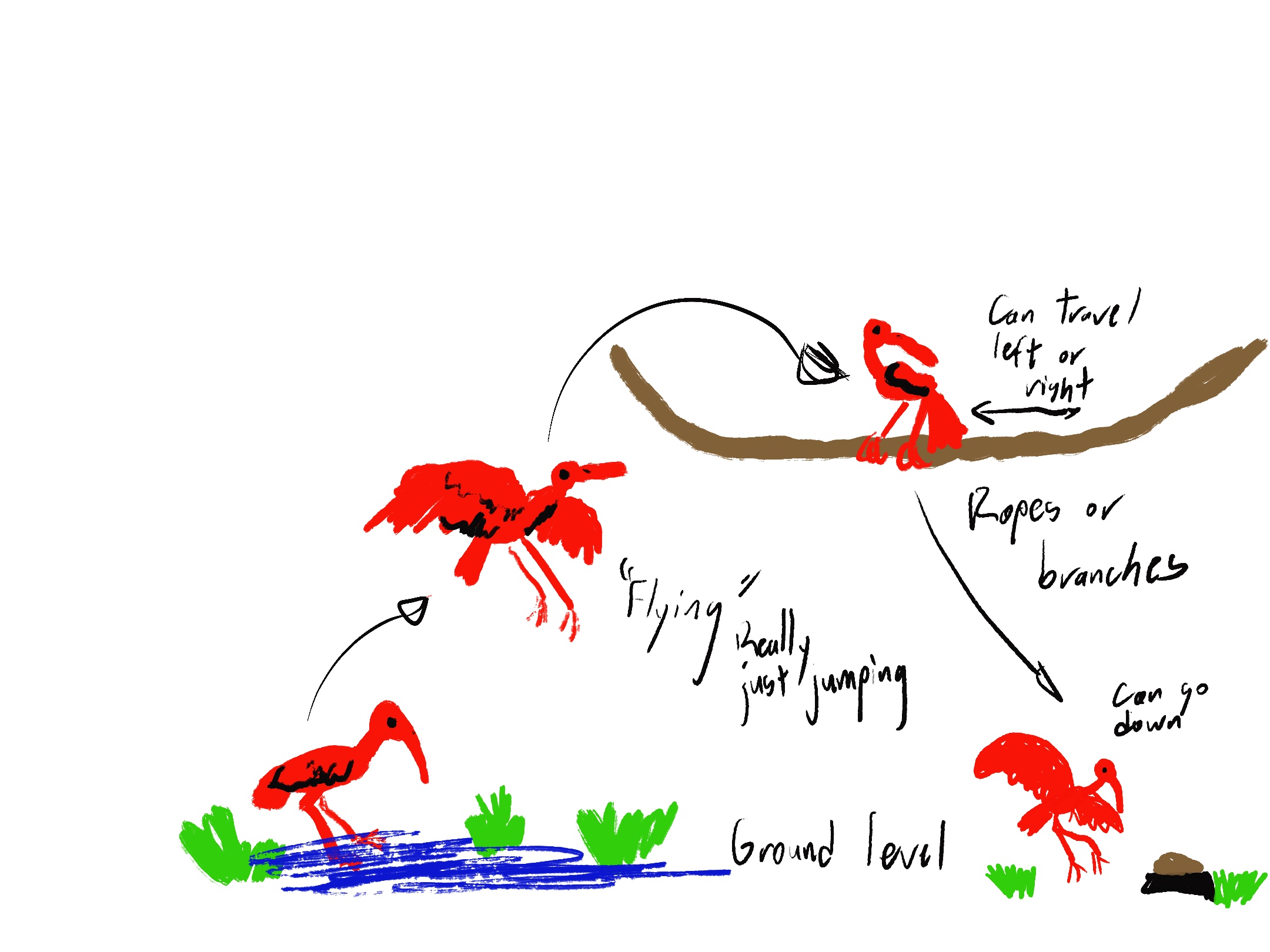 IMG_0098.jpeg