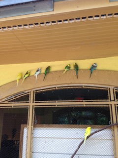 IMG_0317.jpeg