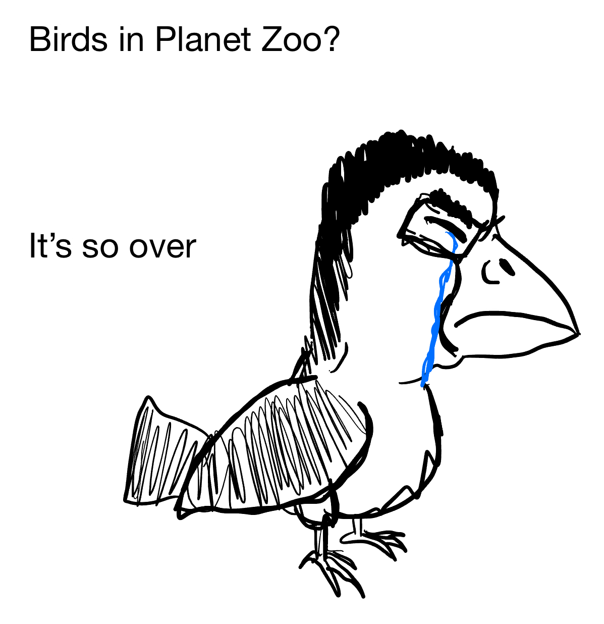 IMG_0473.jpeg