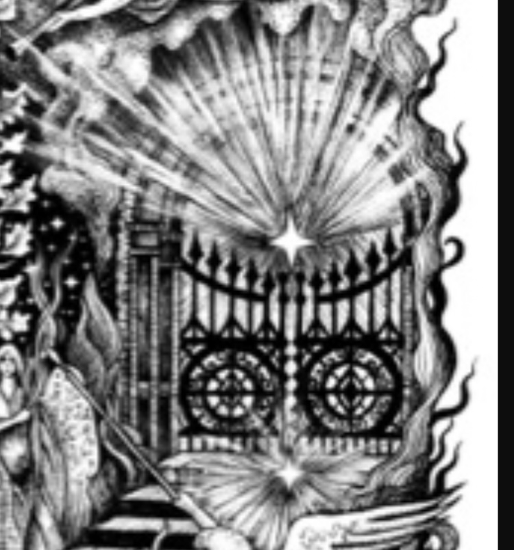 IMG_0803.jpeg