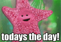 IMG_1234.gif