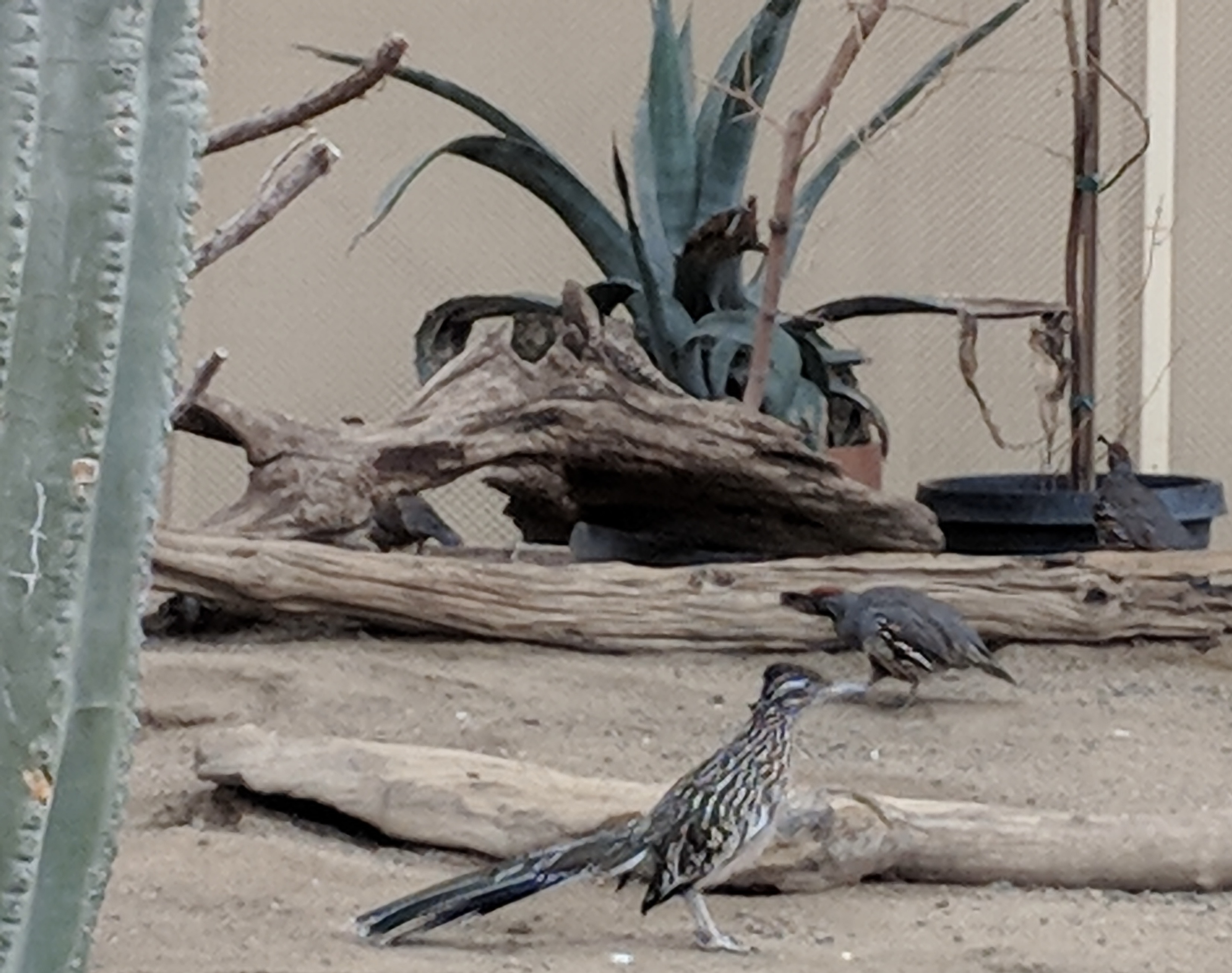 IMG_20180727_122342_Original.jpeg