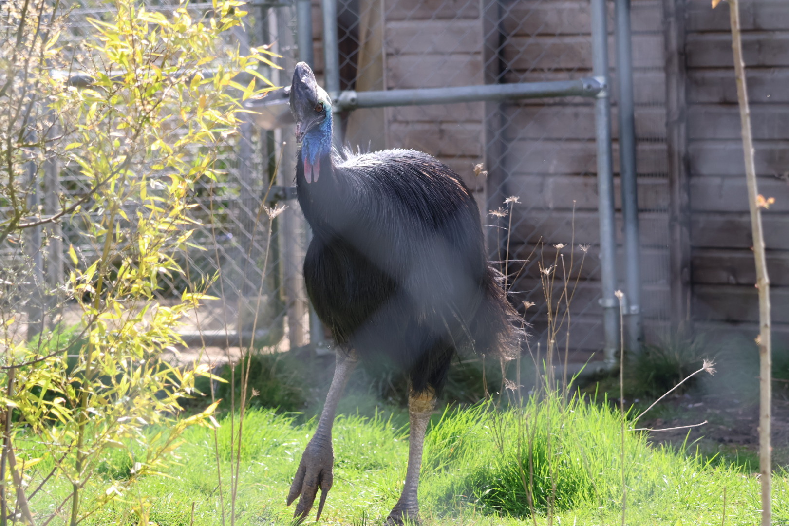IMG_2692.jpeg