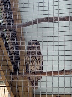 IMG_3083.jpeg