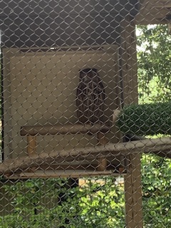 IMG_3089.jpeg