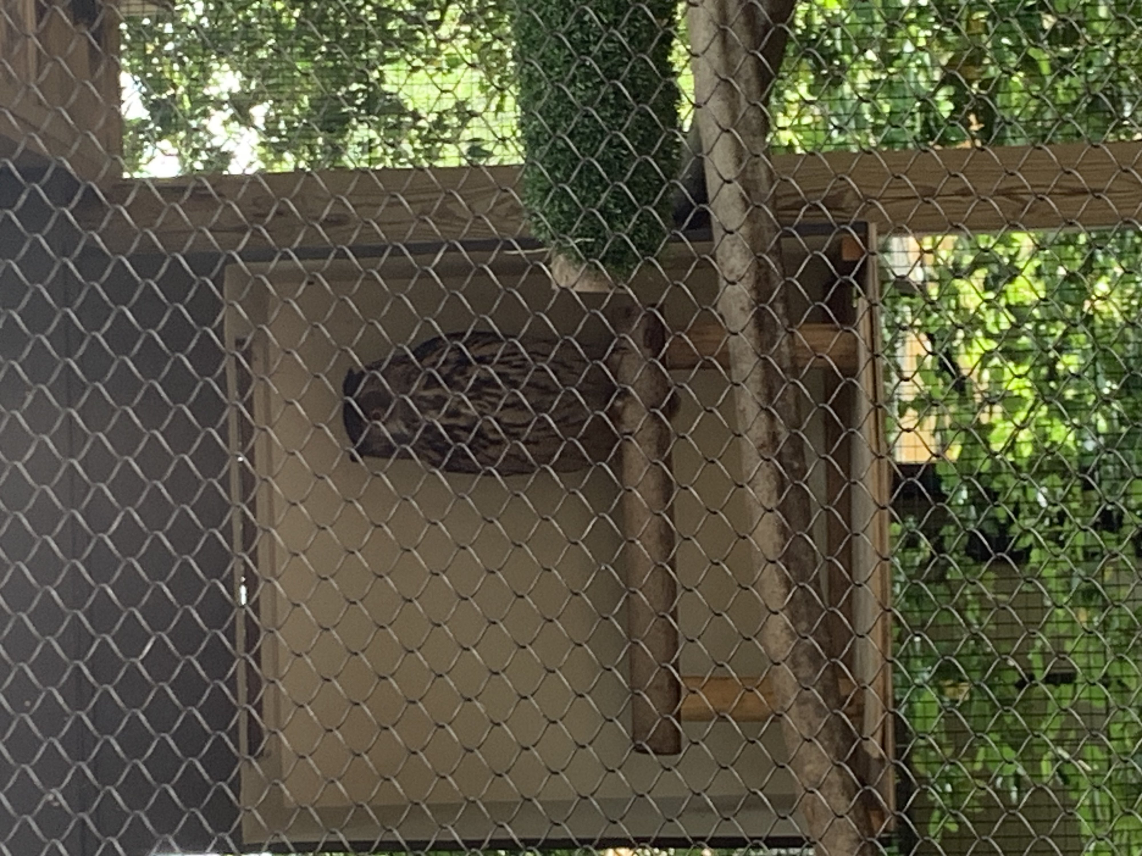 IMG_3089.jpeg