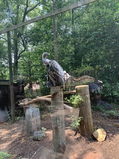 IMG_3106.jpeg