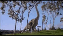 IMG_3182.gif