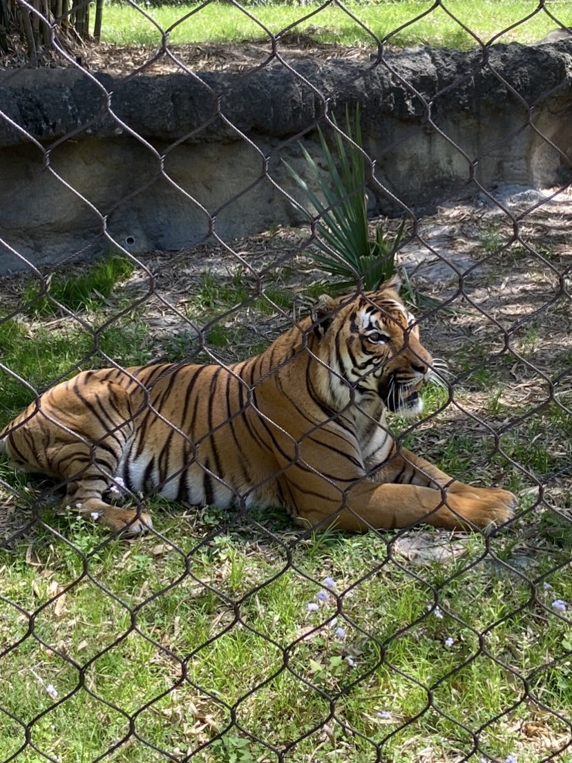 IMG_5472.jpeg